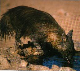 Ahhh.... water! What a luxury!