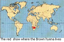 Sign! There aren't many brown hyenas left now :*(